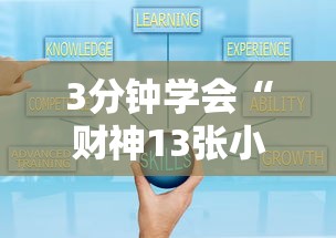 通用版本“十三水万能辅助器使用方法”(原来确实是有插件)