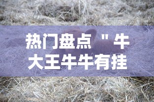 热门盘点 ＂牛大王牛牛有挂吗”揭秘透视辅助万能挂