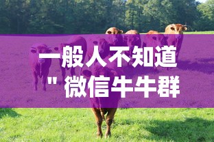 一般人不知道 ＂微信牛牛群有透视挂吗”作弊挂(辅助外挂+