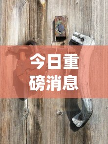 今日重磅消息“宝宝浙江麻将有挂吗？_游戏_玩家_工具
