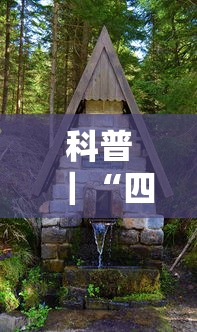 科普｜“四川游戏家园为什么老是输”开挂方法