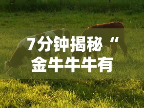 7分钟揭秘“金牛牛牛有挂吗	”详细辅助教程分享